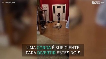 O jogo da corda mais amoroso de sempre