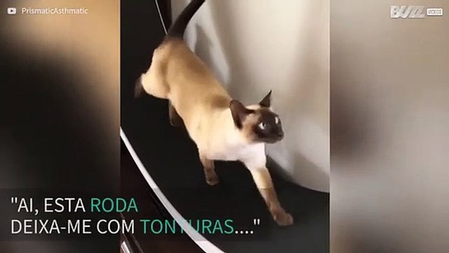 Às vezes são os mais novos que ensinam algo aos mais velhos!