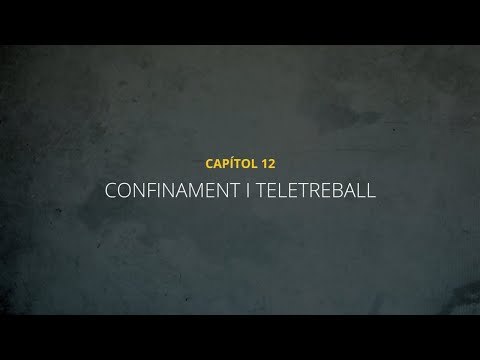 CRÒNIQUES D'UN CANVI DE VIDA | Capítol 12 | CONFINAMENT I TELETREBALL