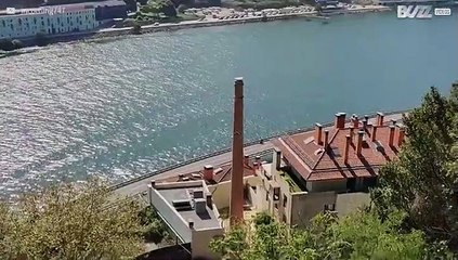 Scooter de mobilidade passeia por estrada movimentada