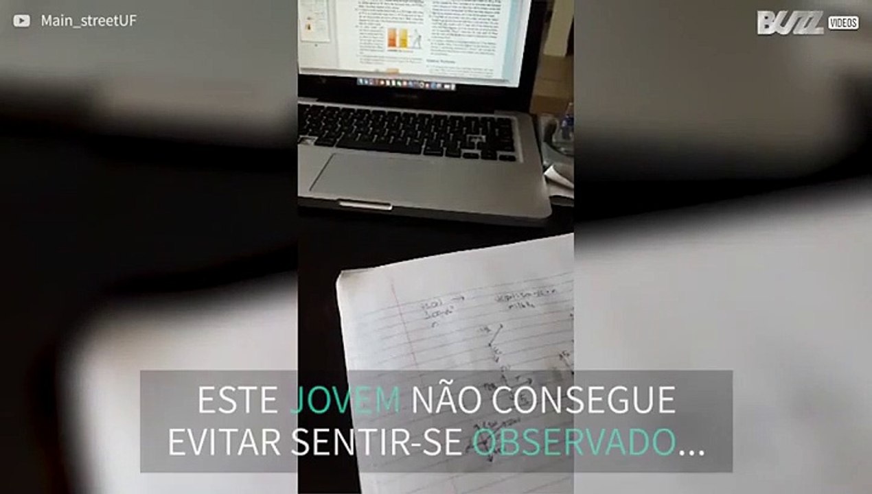 Alguma vez se sentiu observado?