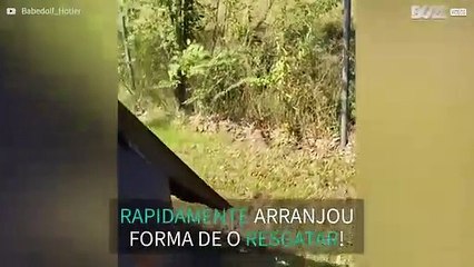 Homem salva guaxinim preso em contentor!