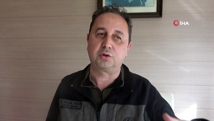 Bolu’da, milyonlarca yıl öncesine ait lav gölü kalıntıları bulundu