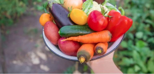 Easiest Vegetables to Grow at Home