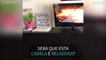 Cadela adora cantar músicas religiosas!