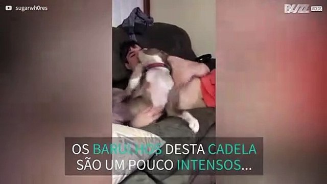 Cadela faz barulhos estranhos enquanto brinca!