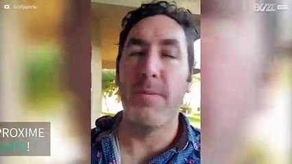 Gato tem temperamento super explosivo