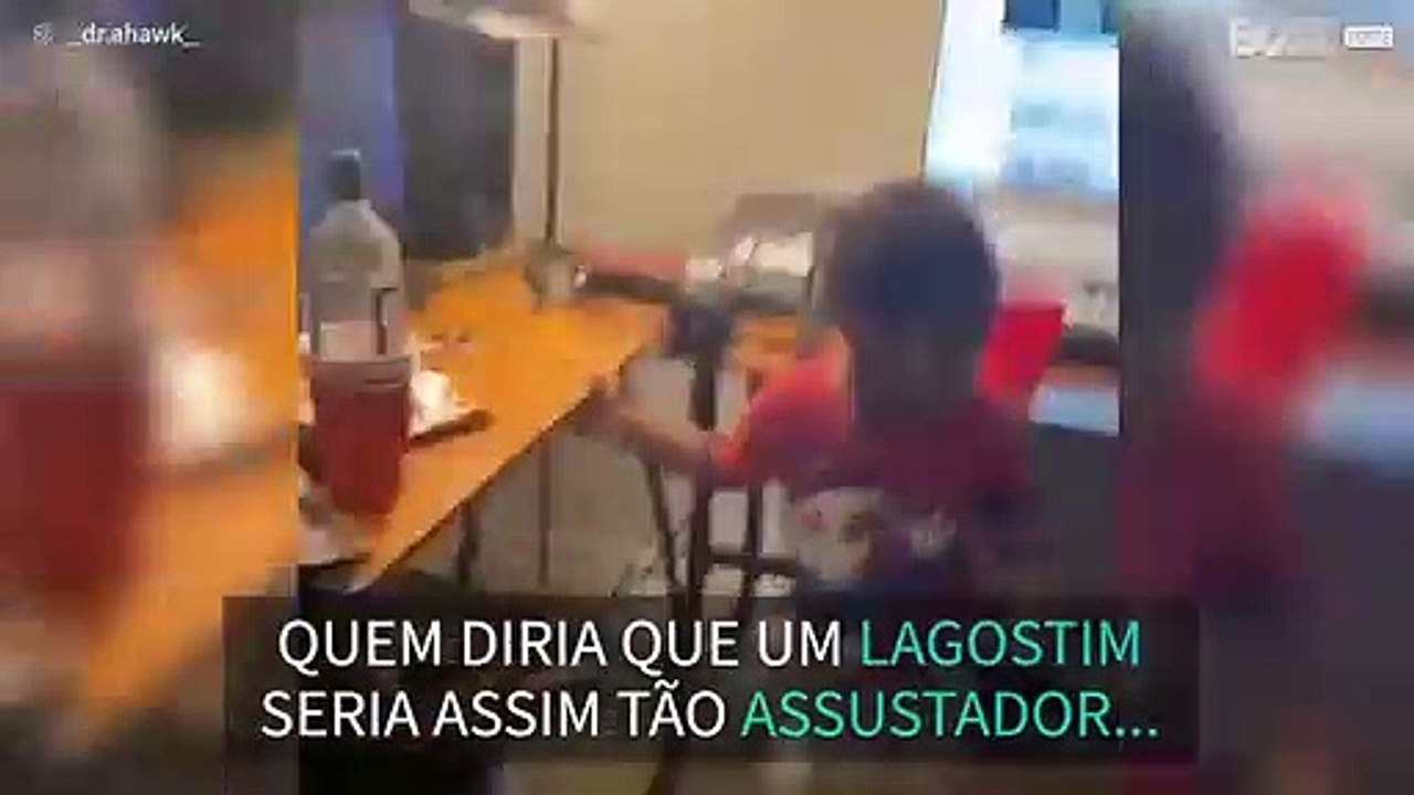 Mãe assusta filho e sobrinho com um Lagostim! - 1