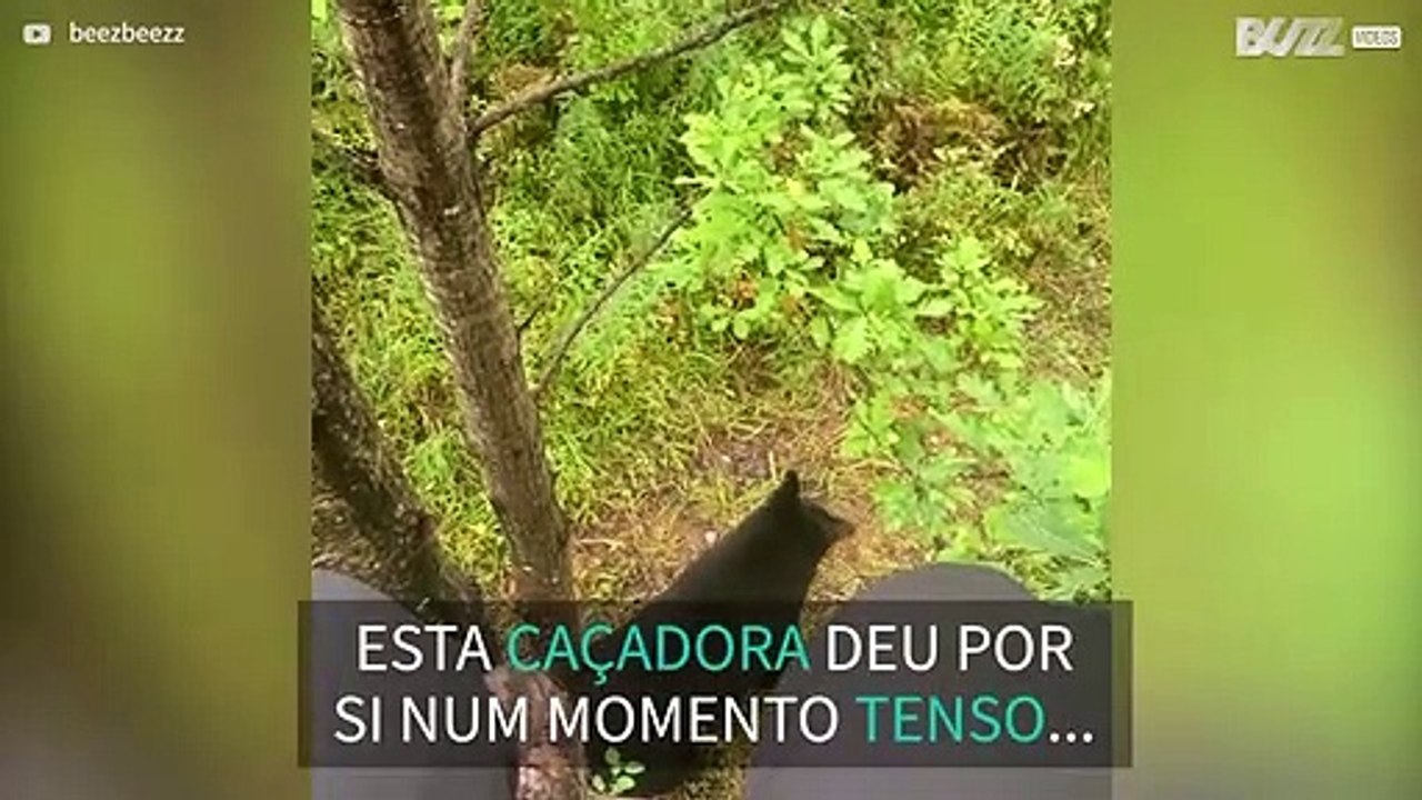 Família de ursos reúne-se por baixo de caçadora
