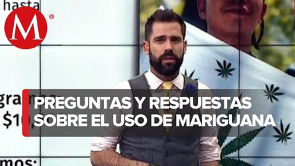 Todo lo que tienes que saber sobre el consumo del cannabis en México