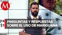 Todo lo que tienes que saber sobre el consumo del cannabis en México