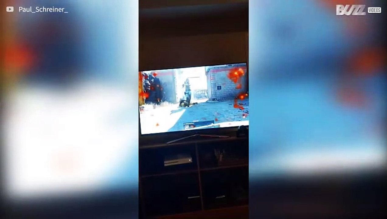 Cão adora ver o dono a jogar consola