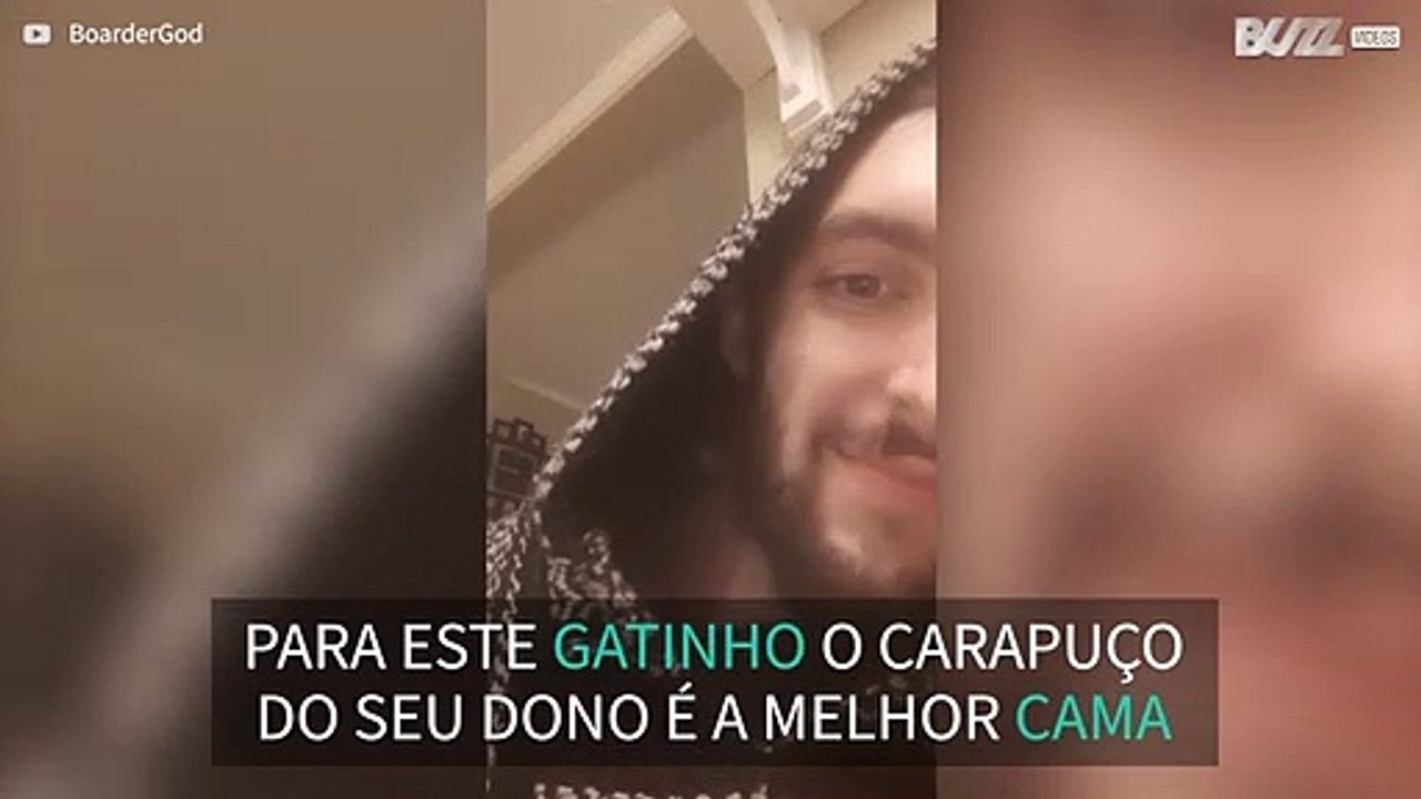 Gato adora esconder-se no carapuço do seu dono