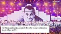 Les Enfoirés 2021 : Leur album cartonne et détrône Booba