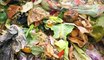 How this market turns 10 tons of food waste into energy every day
