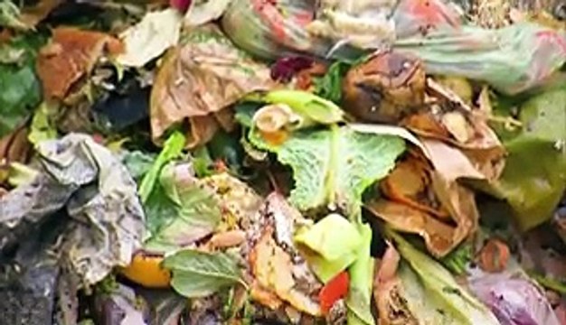 How this market turns 10 tons of food waste into energy every day