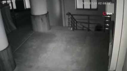 Camilerde hırsızlık yapan şahıs tutuklandı