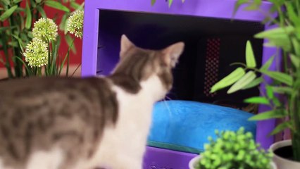 11 Ideas Inteligentes Para Reutilizar Cosas Viejas