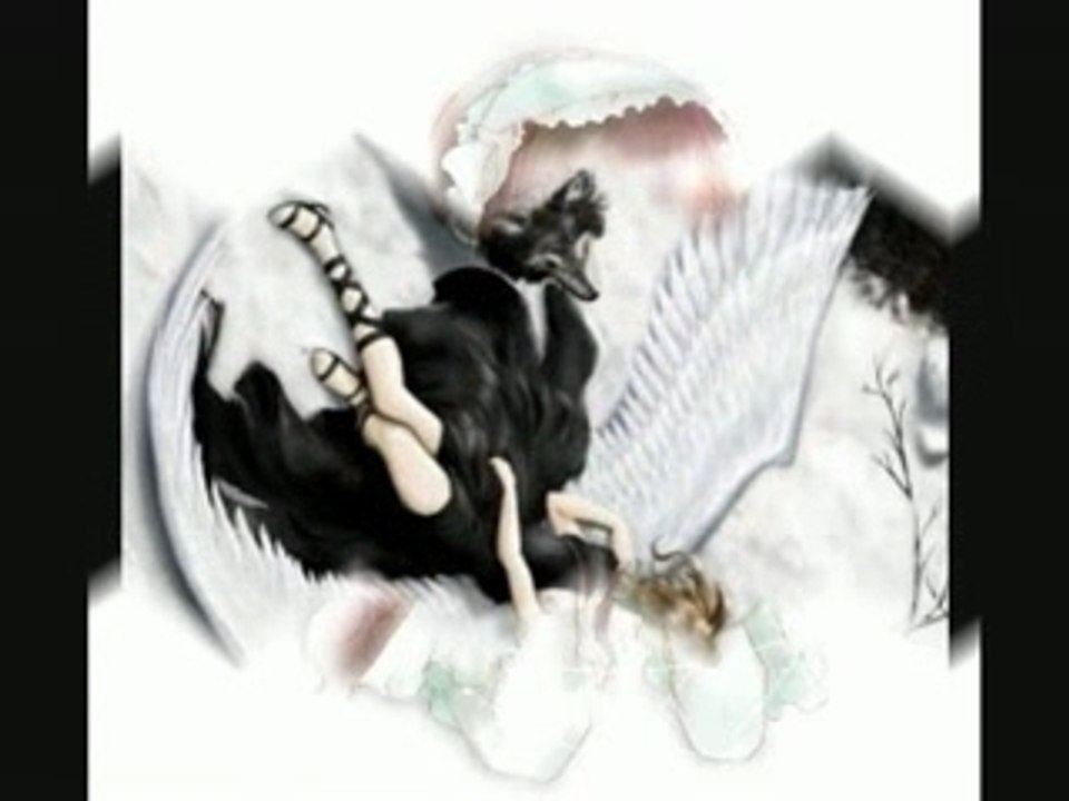 Les images de Shiwasu