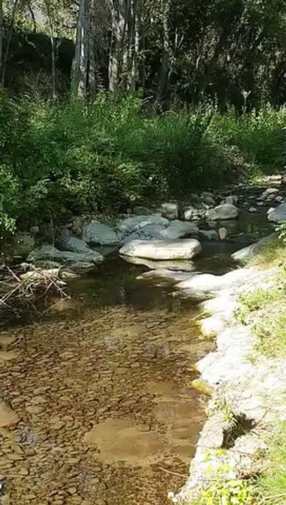 Rejets de la station d'épuration de la cave coopérative de la Tour d'Aigues