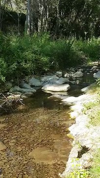 Rejets de la station d'épuration de la cave coopérative de la Tour d'Aigues