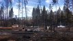Incêndios florestais deixam um morto e 11 desaparecidos na Argentina