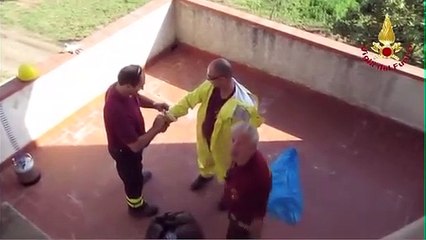 Vigili del Fuoco Avellino - Bonifica calabroni a Lapio