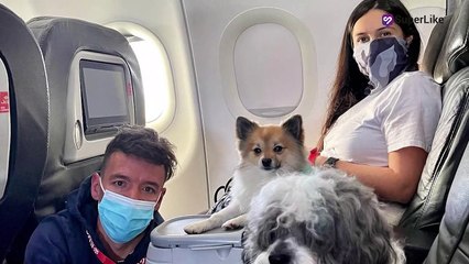 Rigoberto Urán y la sacada de gases de su hija que enamoró a fans