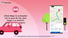 Hazte la vida fácil con Petal Maps