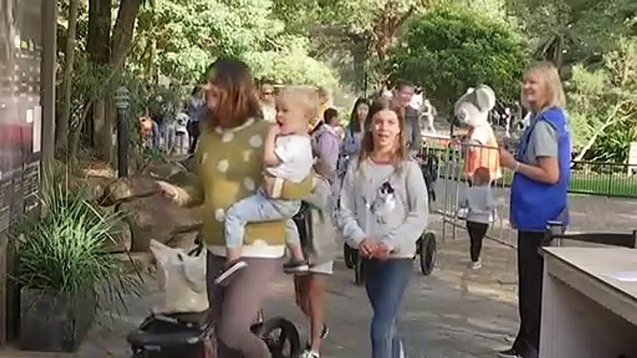 Federal Government pressured to increase number of tourism destinations