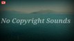 No copyright sounds | Haider NCS | Royalty free music