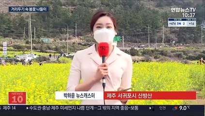 유채꽃 활짝 제주…거리두기 속 봄꽃 나들이