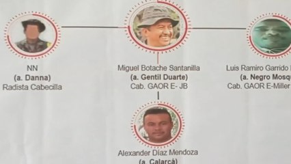 Danna, otra ficha clave de las disidencias que podría haber caído tras operativo contra Gentil Duarte