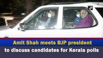 Amit Shah meets BJP president to discuss candidates for Kerala polls