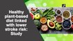 Healthy plant-based diet linked with lower stroke risk: Study