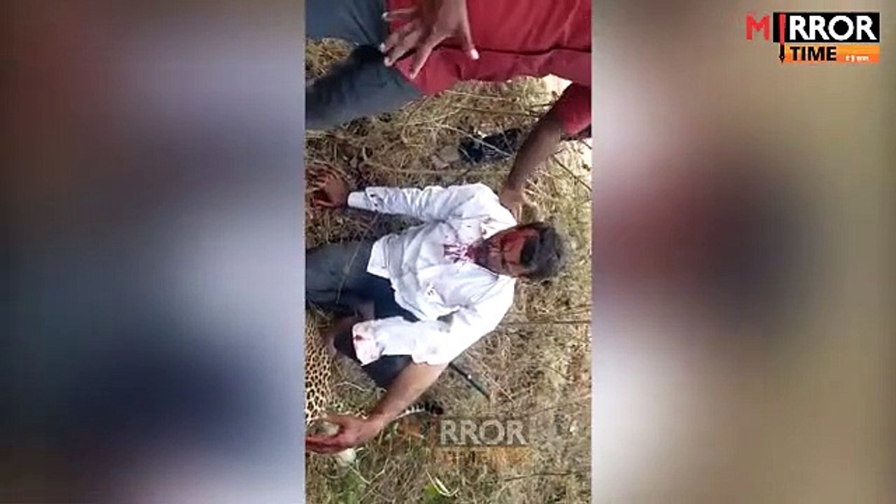 A man killed a leopard to protect his wife and daughter  watch video  Leopard attack