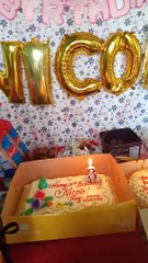 nicole 3rd birthday 