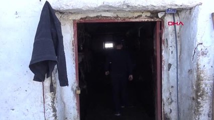 Rahvan atlarını yetiştirip, 100 bin liraya kadar satıyorlar