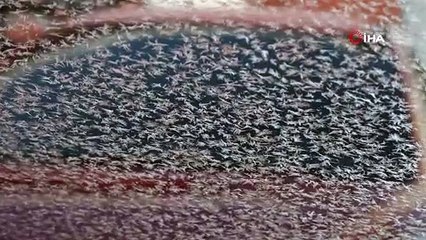 Mart ayında dondurucu soğuklar: Göle eksi 28