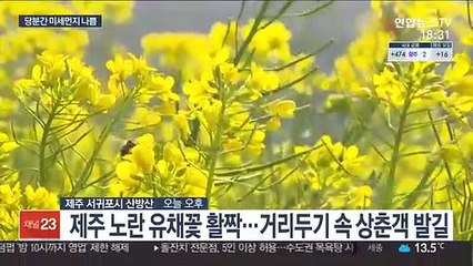 남녘 봄꽃 만발…서쪽 등 모레까지 공기질 나쁨