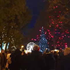 vienna Christmas market
