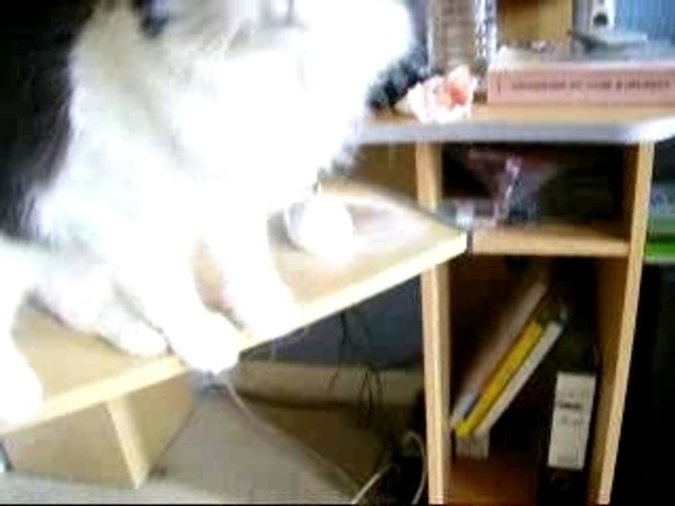 Lellig le gourmand