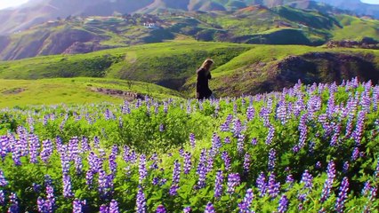 Peace Piece The Immersive Poems Of Mandy Kahn