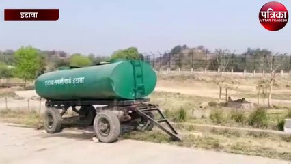 लायन सफारी पार्क के ट्रायल पॉइन्ट में छोड़े गए शेर