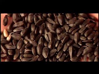 How Its Made 026
