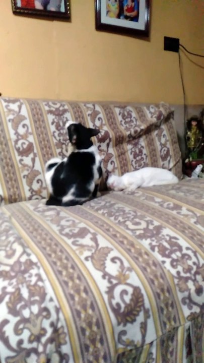 casper
