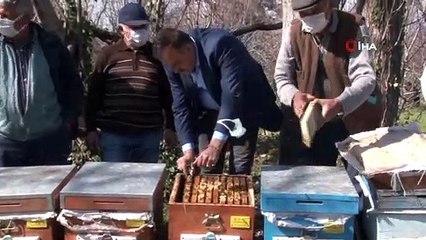 Arılar Çiçekle Buluştu, Yetiştiriciyi İlaçlama Korkusu Sardı