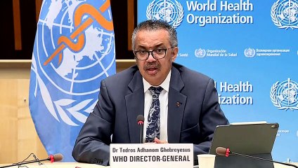 WHO urges Brazil to act as COVID deaths hit record high