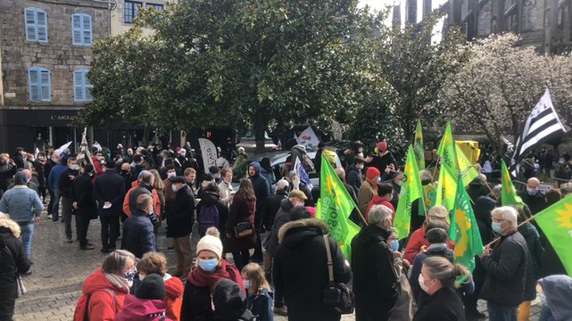 Ils défendent la langue et la culture bretonne à Quimper