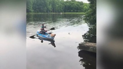 Fails of the Week - Best Funny Videos - Try Not To Laugh